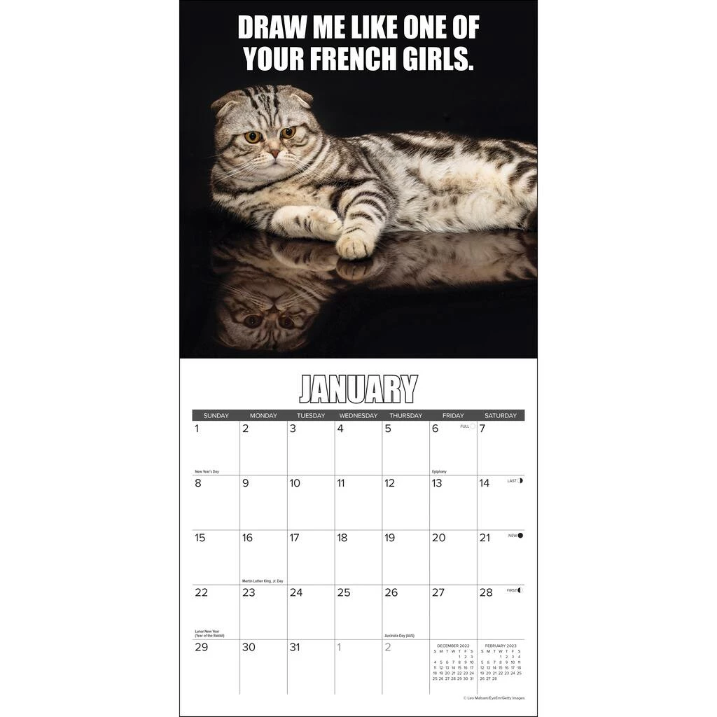 Budget ๐ฅฐ 2023 Cat-astrophe Mini Wall Calendar by Willow Creek Press ๐ 3 Budget ๐ฅฐ 2023 Cat-astrophe Mini Wall Calendar by Willow Creek Press ๐ - Image 3