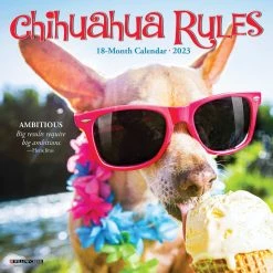 Best deal 🥰 2023 Chihuahua Rules Mini Wall Calendar by Willow Creek Press 🌟