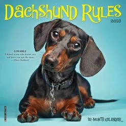Best Sale 👍 2023 Dachshund Rules Mini Wall Calendar by Willow Creek Press 💯