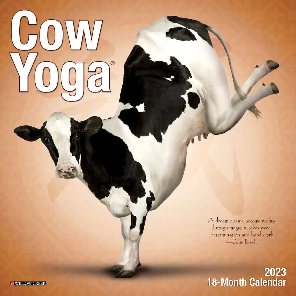 Discount ❤️ 2023 Cow Yoga Mini Wall Calendar by Willow Creek Press ✔️ 1 Discount ❤️ 2023 Cow Yoga Mini Wall Calendar by Willow Creek Press ✔️