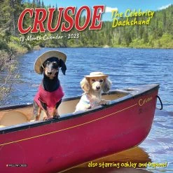 Discount ๐ 2023 Crusoe the Dachshund Mini Wall Calendar by Willow Creek Press โค๏ธ