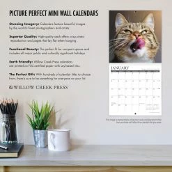 Discount 👍 2023 Crusoe the Dachshund Mini Wall Calendar by Willow Creek Press ❤️ -Cheap Willow Creek Press Store D669887S 4