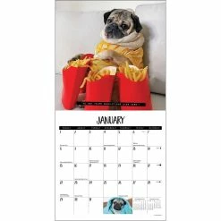 Discount 😀 2023 Doug the Pug Mini Wall Calendar by Willow Creek Press 🔥 -Cheap Willow Creek Press Store D669888S 3