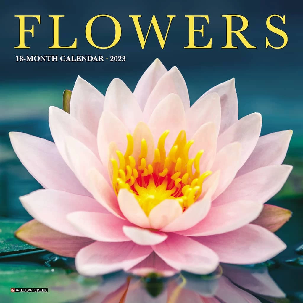 Promo 👍 2023 Flowers Mini Wall Calendar by Willow Creek Press 😍 1 Promo 👍 2023 Flowers Mini Wall Calendar by Willow Creek Press 😍
