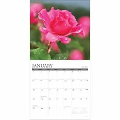 Promo 👍 2023 Flowers Mini Wall Calendar by Willow Creek Press 😍 6 Promo 👍 2023 Flowers Mini Wall Calendar by Willow Creek Press 😍 -Cheap Willow Creek Press Store D669889S 3