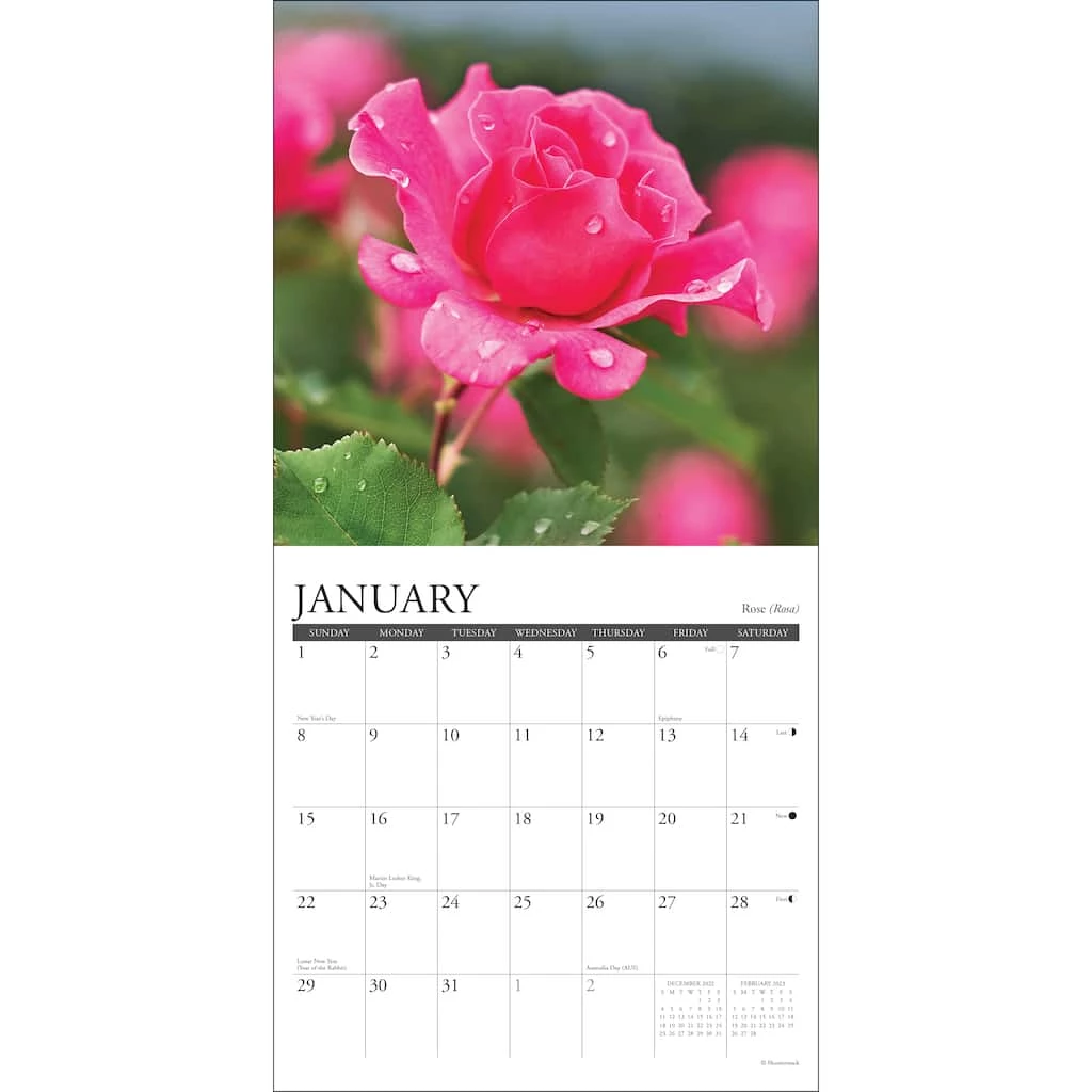 Promo 👍 2023 Flowers Mini Wall Calendar by Willow Creek Press 😍 3 Promo 👍 2023 Flowers Mini Wall Calendar by Willow Creek Press 😍 - Image 3