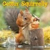 Cheapest 🔔 2023 Gettin' Squirrelly Mini Wall Calendar by Willow Creek Press 😉