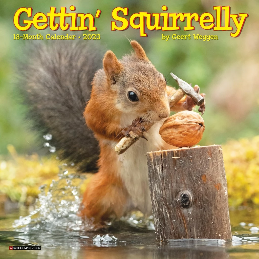 Cheapest ๐ 2023 Gettin' Squirrelly Mini Wall Calendar by Willow Creek Press ๐ 1 Cheapest ๐ 2023 Gettin' Squirrelly Mini Wall Calendar by Willow Creek Press ๐
