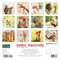 Cheapest ๐ 2023 Gettin' Squirrelly Mini Wall Calendar by Willow Creek Press ๐ 5 Cheapest ๐ 2023 Gettin' Squirrelly Mini Wall Calendar by Willow Creek Press ๐ -Cheap Willow Creek Press Store D669890S 2