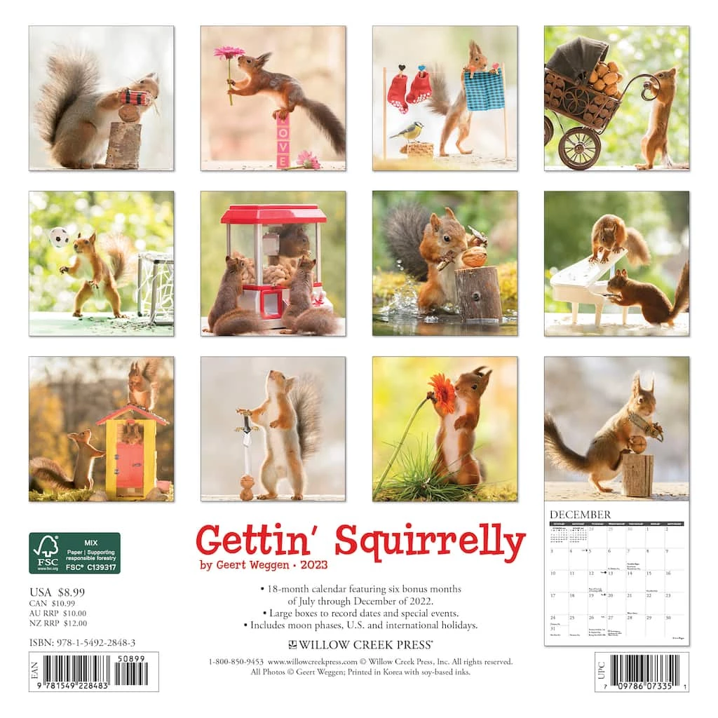Cheapest ๐ 2023 Gettin' Squirrelly Mini Wall Calendar by Willow Creek Press ๐ 2 Cheapest ๐ 2023 Gettin' Squirrelly Mini Wall Calendar by Willow Creek Press ๐ - Image 2
