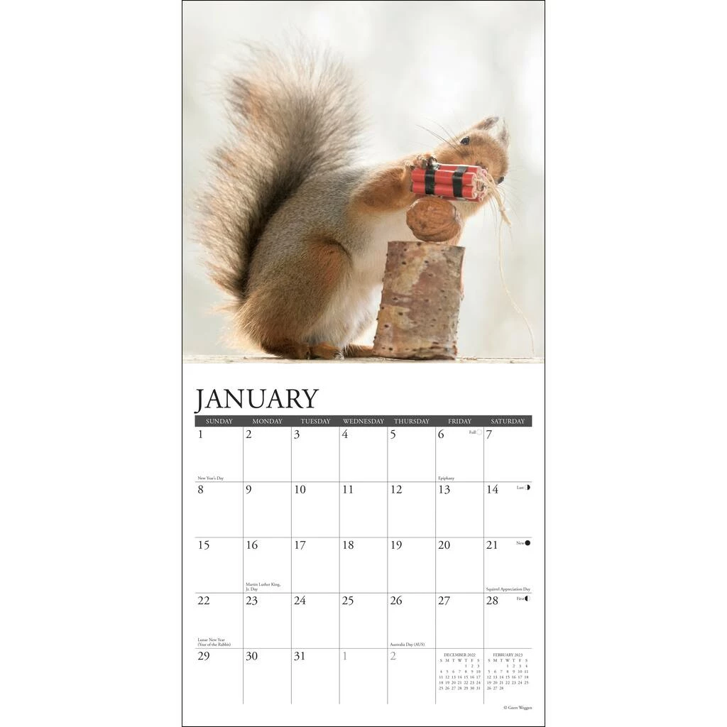 Cheapest ๐ 2023 Gettin' Squirrelly Mini Wall Calendar by Willow Creek Press ๐ 3 Cheapest ๐ 2023 Gettin' Squirrelly Mini Wall Calendar by Willow Creek Press ๐ - Image 3
