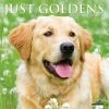 Hot Sale ⭐ 2023 Just Goldens Mini Wall Calendar by Willow Creek Press 🌟
