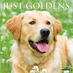 Hot Sale ⭐ 2023 Just Goldens Mini Wall Calendar by Willow Creek Press 🌟