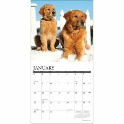 Hot Sale ⭐ 2023 Just Goldens Mini Wall Calendar by Willow Creek Press 🌟 -Cheap Willow Creek Press Store D669891S 3