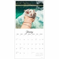 Brand new 🔔 2023 Herbee the Hedgehog Mini Wall Calendar by Willow Creek Press ❤️ -Cheap Willow Creek Press Store D669893S 3