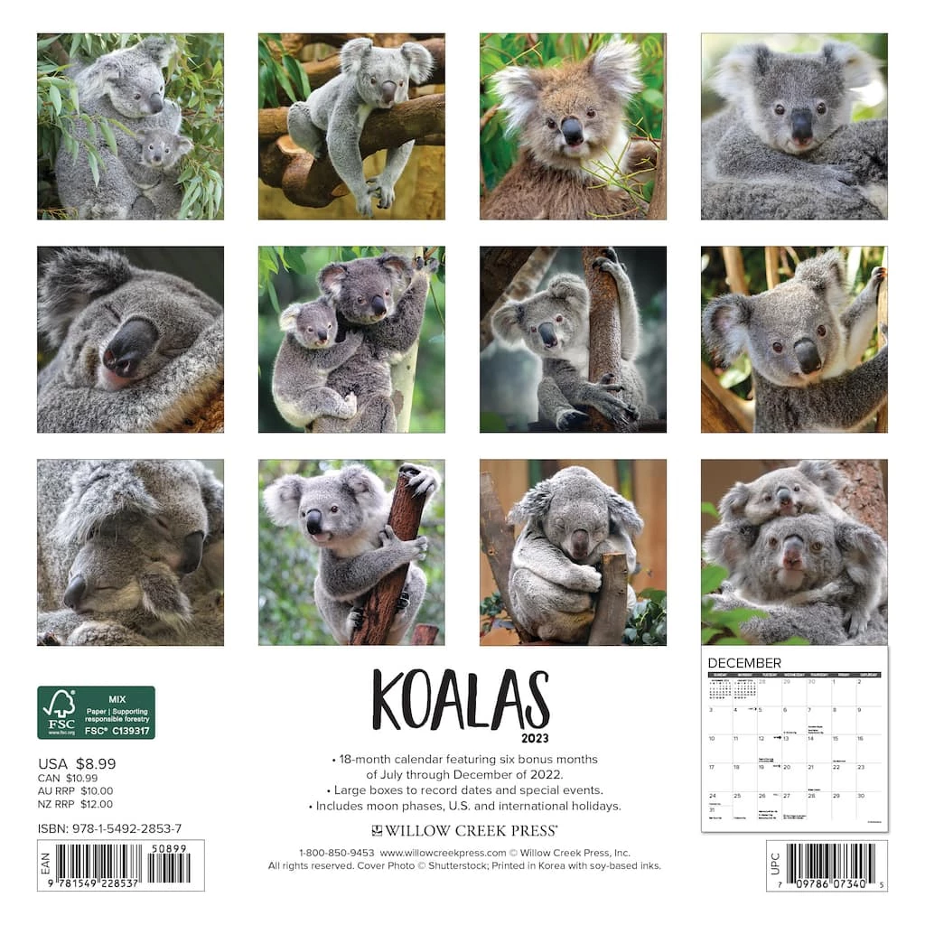 Best deal ⭐ 2023 Koala Bears Mini Wall Calendar by Willow Creek Press ⌛ 2 Best deal ⭐ 2023 Koala Bears Mini Wall Calendar by Willow Creek Press ⌛ - Image 2