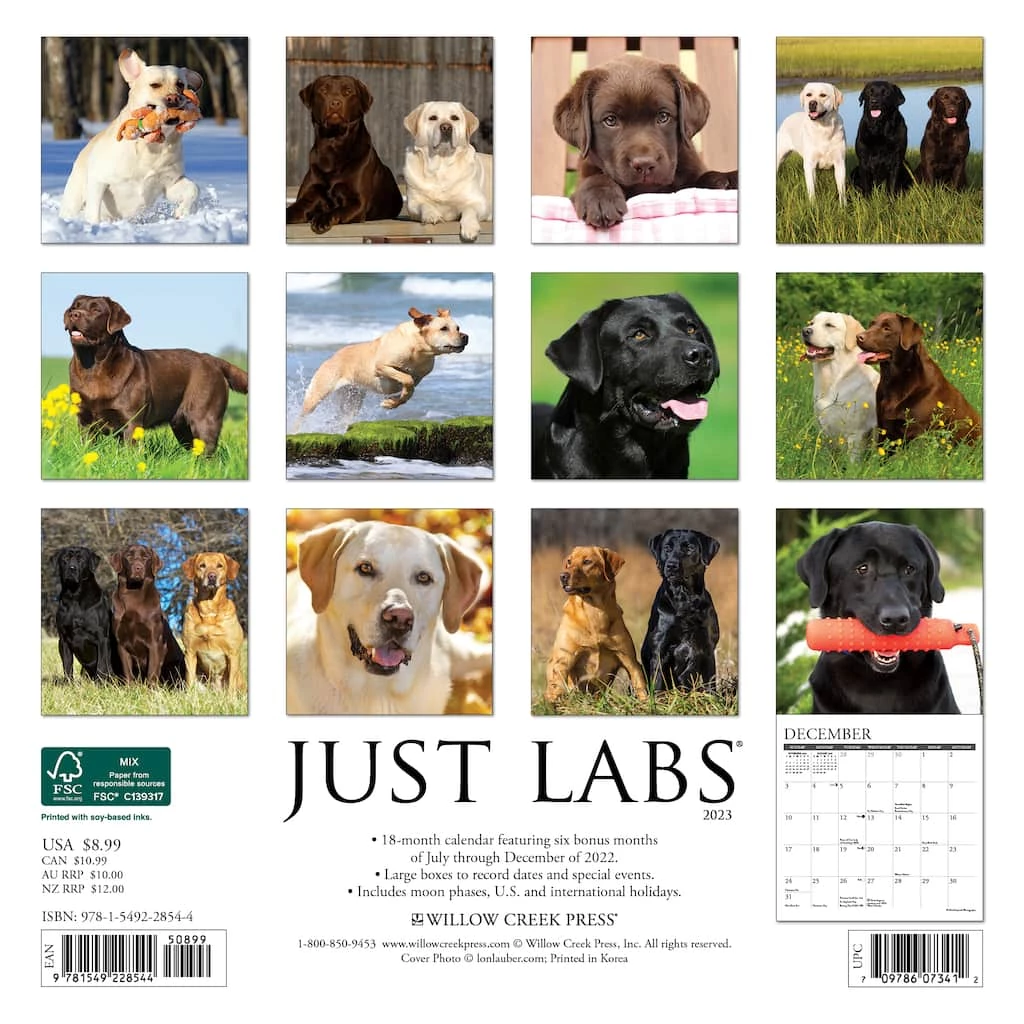 Top 10 👏 2023 Just Labs Mini Wall Calendar by Willow Creek Press 😍 2 Top 10 👏 2023 Just Labs Mini Wall Calendar by Willow Creek Press 😍 - Image 2