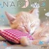 Cheapest ❤️ 2023 Cats Naptime Mini Wall Calendar by Willow Creek Press 🎁