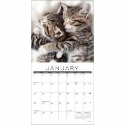 Cheapest ❤️ 2023 Cats Naptime Mini Wall Calendar by Willow Creek Press 🎁 -Cheap Willow Creek Press Store D669899S 3