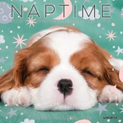 Best Sale 🎁 2023 Naptime 🐶 Dogs Mini Wall Calendar by Willow Creek Press 🛒