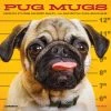 Best Pirce ✔️ 2023 Pug Mugs Mini Wall Calendar by Willow Creek Press 😀