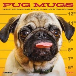 Best Pirce ✔️ 2023 Pug Mugs Mini Wall Calendar by Willow Creek Press 😀