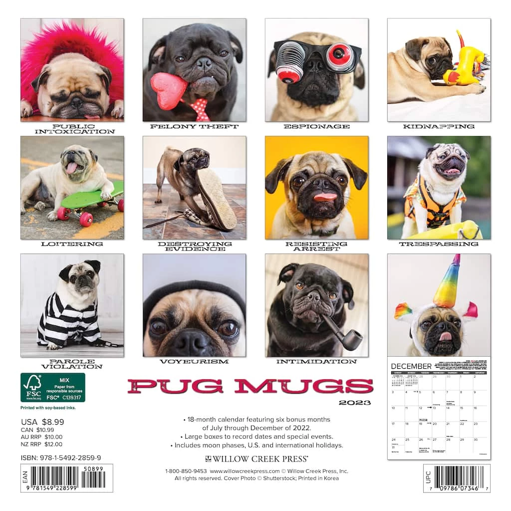 Best Pirce โ๏ธ 2023 Pug Mugs Mini Wall Calendar by Willow Creek Press ๐ 2 Best Pirce โ๏ธ 2023 Pug Mugs Mini Wall Calendar by Willow Creek Press ๐ - Image 2