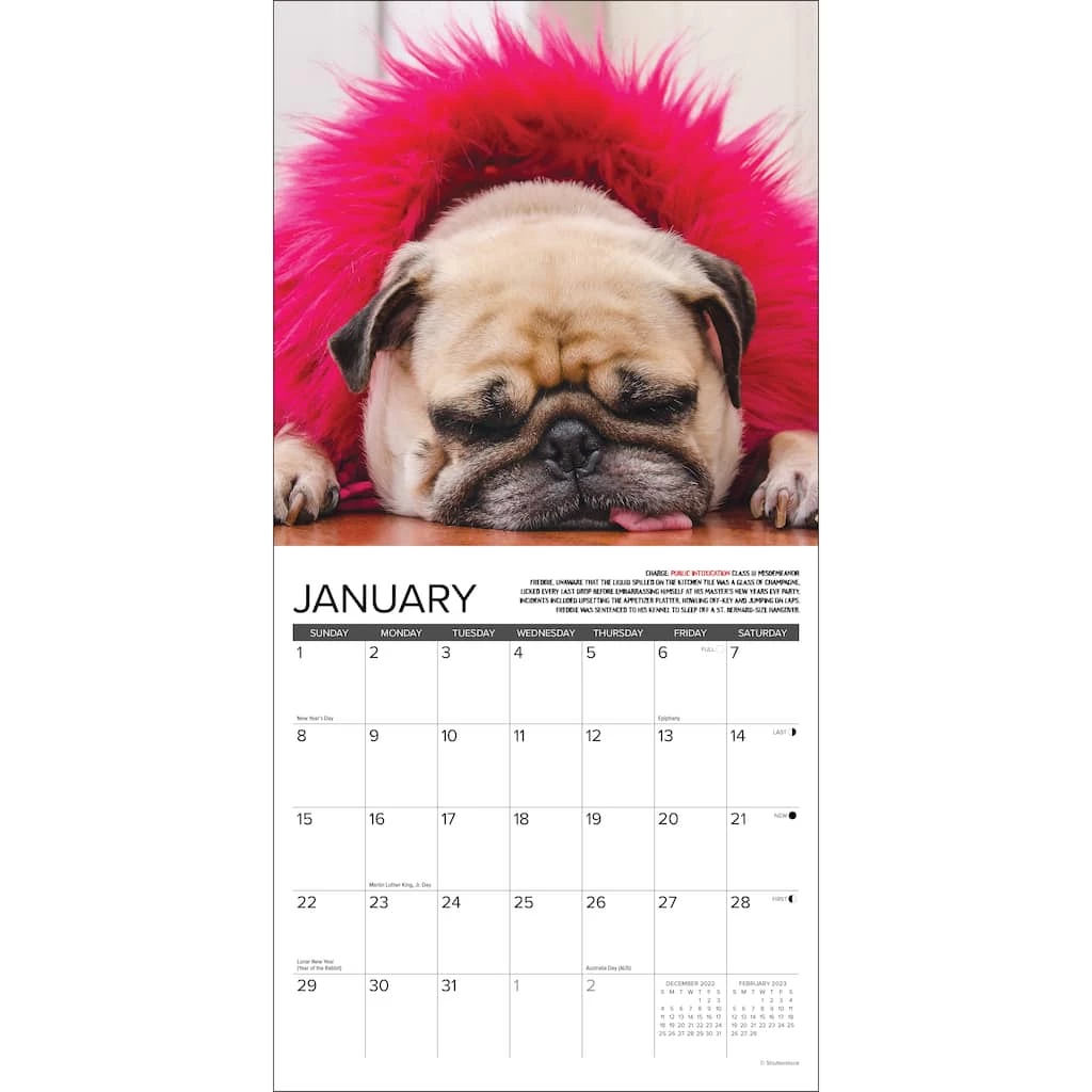 Best Pirce โ๏ธ 2023 Pug Mugs Mini Wall Calendar by Willow Creek Press ๐ 3 Best Pirce โ๏ธ 2023 Pug Mugs Mini Wall Calendar by Willow Creek Press ๐ - Image 3