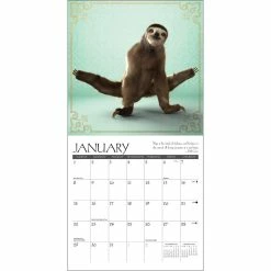Deals 🥰 2023 Sloth Yoga Mini Wall Calendar by Willow Creek Press ⭐ -Cheap Willow Creek Press Store D669909S 3