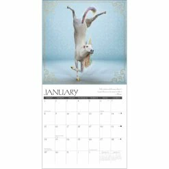 Top 10 ✔️ 2023 Unicorn Yoga Mini Wall Calendar by Willow Creek Press 🧨 -Cheap Willow Creek Press Store D669911S 3