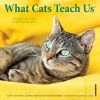 Best reviews of 🎉 2023 What Cats Teach Us Mini Wall Calendar by Willow Creek Press 😉