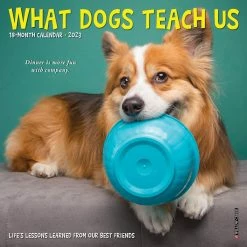Outlet ๐ 2023 What ๐ Dogs Teach Us Mini Wall Calendar by Willow Creek Press ๐คฉ