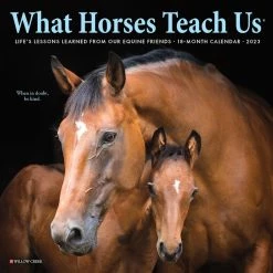 Cheap ๐ 2023 What Horses Teach Us Mini Wall Calendar by Willow Creek Press ๐