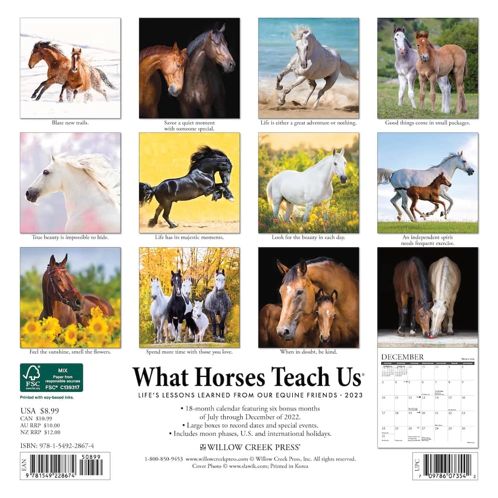 Cheap ๐ 2023 What Horses Teach Us Mini Wall Calendar by Willow Creek Press ๐ 2 Cheap ๐ 2023 What Horses Teach Us Mini Wall Calendar by Willow Creek Press ๐ - Image 2