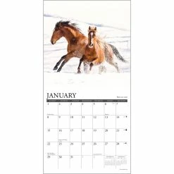 Cheap ๐ 2023 What Horses Teach Us Mini Wall Calendar by Willow Creek Press ๐ 6 Cheap ๐ 2023 What Horses Teach Us Mini Wall Calendar by Willow Creek Press ๐ -Cheap Willow Creek Press Store D669916S 3