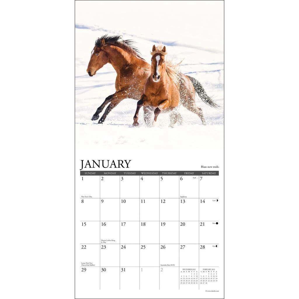 Cheap ๐ 2023 What Horses Teach Us Mini Wall Calendar by Willow Creek Press ๐ 3 Cheap ๐ 2023 What Horses Teach Us Mini Wall Calendar by Willow Creek Press ๐ - Image 3