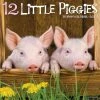 Hot Sale 👏 2023 12 Little Piggies Wall Calendar by Willow Creek Press 😍