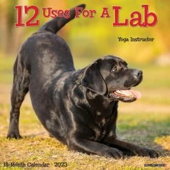 Budget ๐ 2023 12 Uses for a Lab Wall Calendar by Willow Creek Press ๐ฅฐ