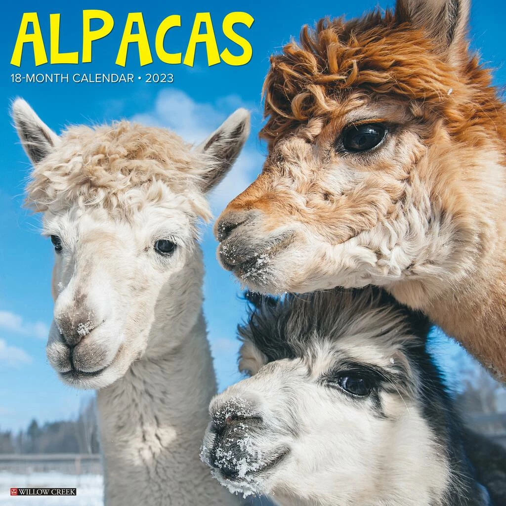 Cheapest ๐ฏ 2023 Alpacas Wall Calendar by Willow Creek Press ๐งจ 1 Cheapest ๐ฏ 2023 Alpacas Wall Calendar by Willow Creek Press ๐งจ
