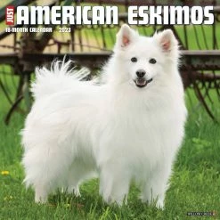 Best reviews of ๐ 2023 Just American Eskimos Wall Calendar by Willow Creek Press ๐ฅฐ
