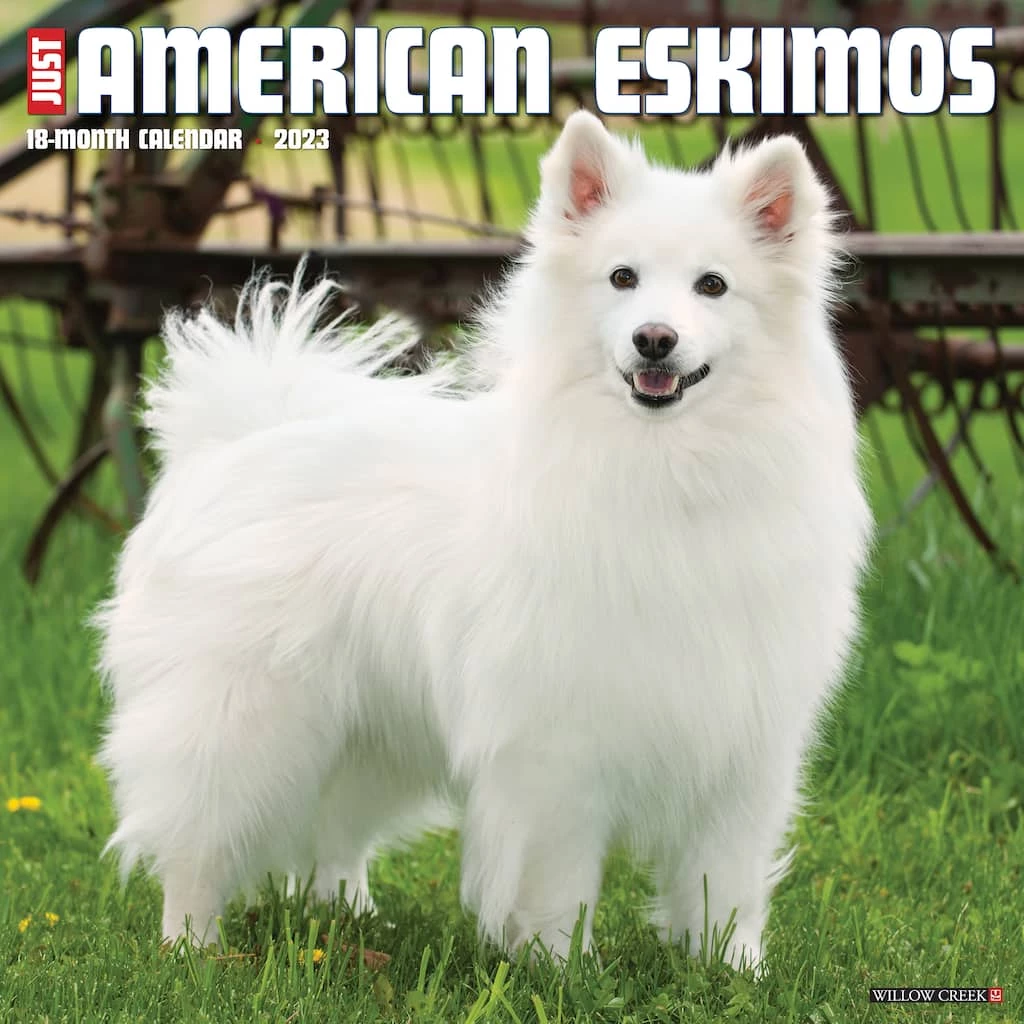 Best reviews of ๐ 2023 Just American Eskimos Wall Calendar by Willow Creek Press ๐ฅฐ 1 Best reviews of ๐ 2023 Just American Eskimos Wall Calendar by Willow Creek Press ๐ฅฐ