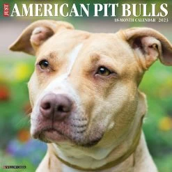 Coupon ๐คฉ 2023 American Pit Bull Terriers Wall Calendar by Willow Creek Press ๐ฅ