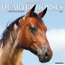 Best reviews of ⭐ 2023 American Quarter Horses Wall Calendar by Willow Creek Press 🌟