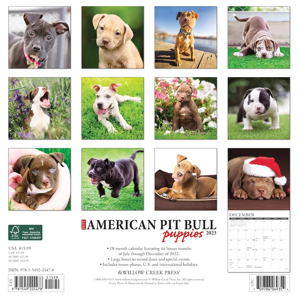 Brand new π 2023 American Pit Bull Puppies Wall Calendar by Willow Creek Press π― 2 Brand new π 2023 American Pit Bull Puppies Wall Calendar by Willow Creek Press π― - Image 2
