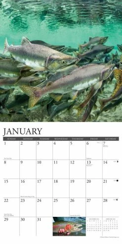 Flash Sale 🛒 2023 Angler's Wall Calendar by Willow Creek Press 🛒 -Cheap Willow Creek Press Store D669939S 3