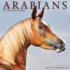 Discount 🎁 2023 Arabians Wall Calendar by Willow Creek Press 🎉