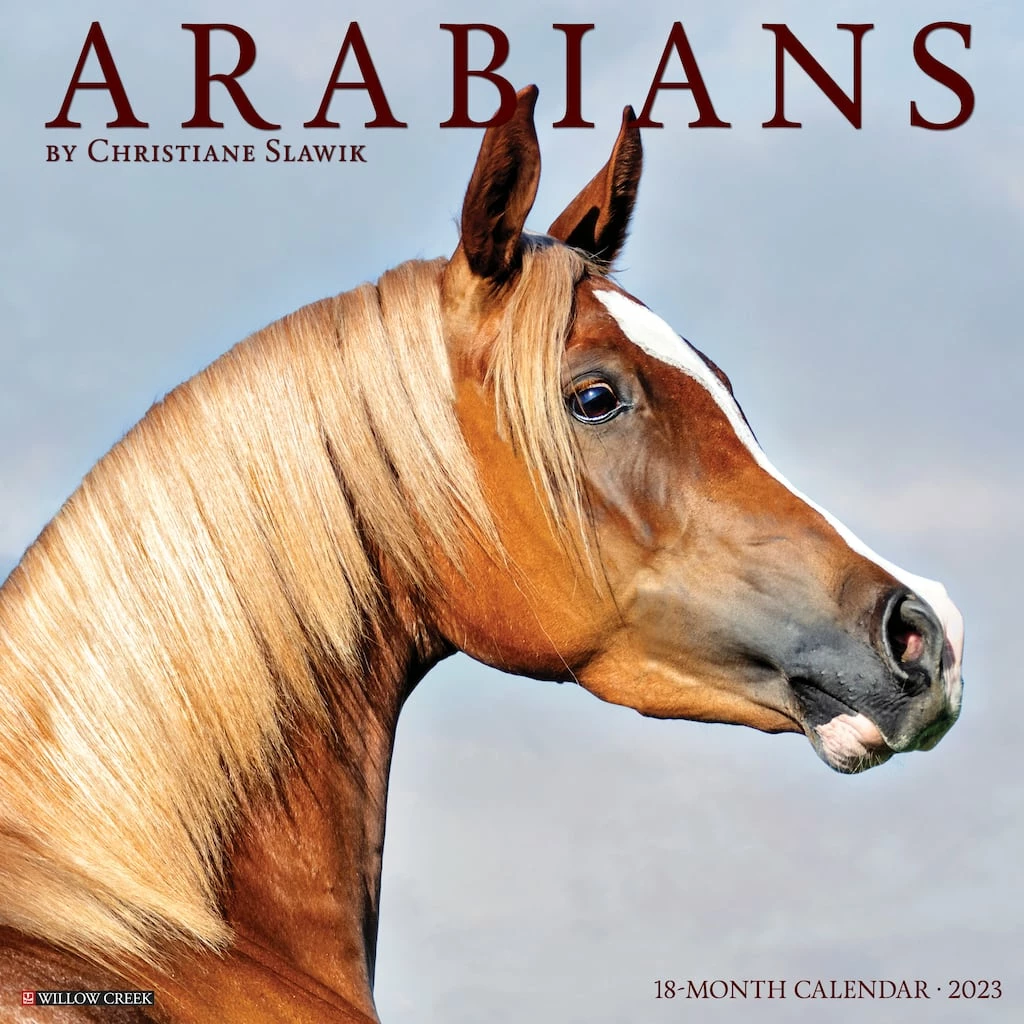 Discount 🎁 2023 Arabians Wall Calendar by Willow Creek Press 🎉 1 Discount 🎁 2023 Arabians Wall Calendar by Willow Creek Press 🎉