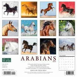 Discount 🎁 2023 Arabians Wall Calendar by Willow Creek Press 🎉 5 Discount 🎁 2023 Arabians Wall Calendar by Willow Creek Press 🎉 -Cheap Willow Creek Press Store D669942S 2