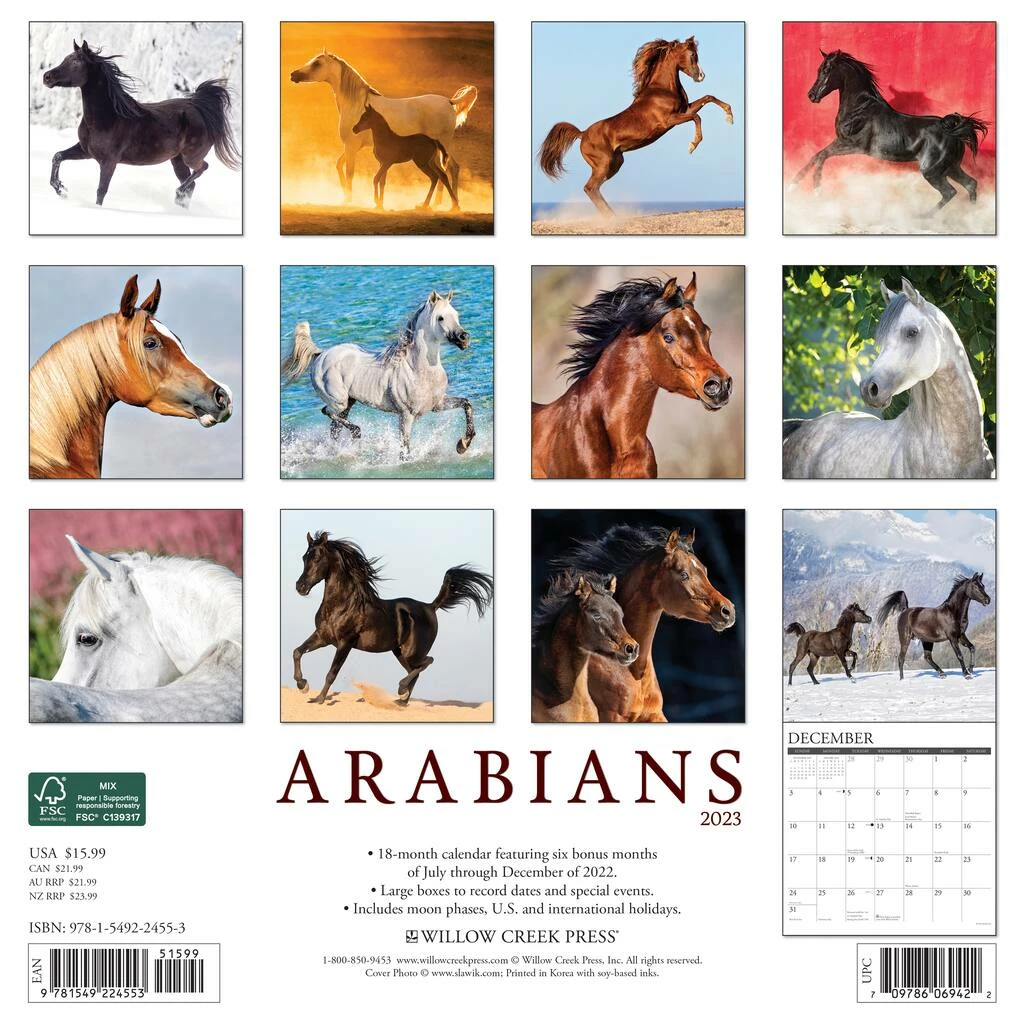 Discount 🎁 2023 Arabians Wall Calendar by Willow Creek Press 🎉 2 Discount 🎁 2023 Arabians Wall Calendar by Willow Creek Press 🎉 - Image 2