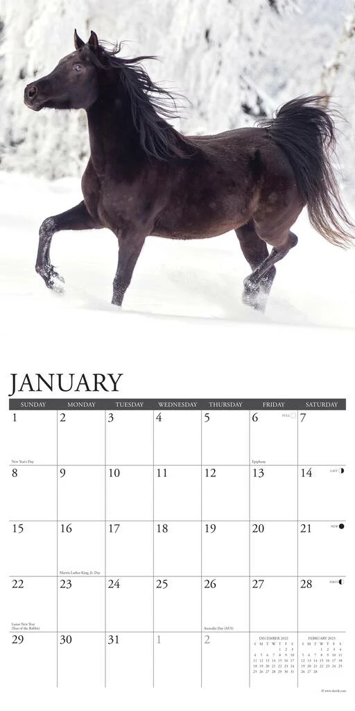 Discount 🎁 2023 Arabians Wall Calendar by Willow Creek Press 🎉 3 Discount 🎁 2023 Arabians Wall Calendar by Willow Creek Press 🎉 - Image 3